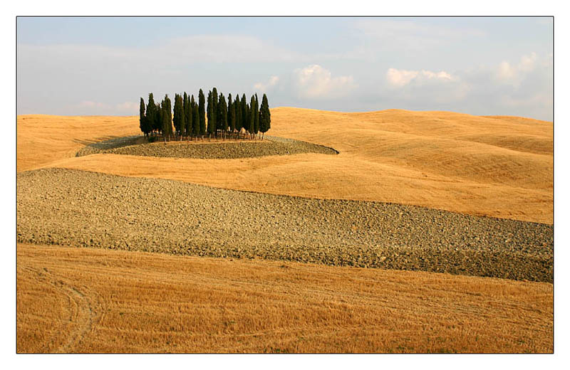 cretesenesi3.jpg